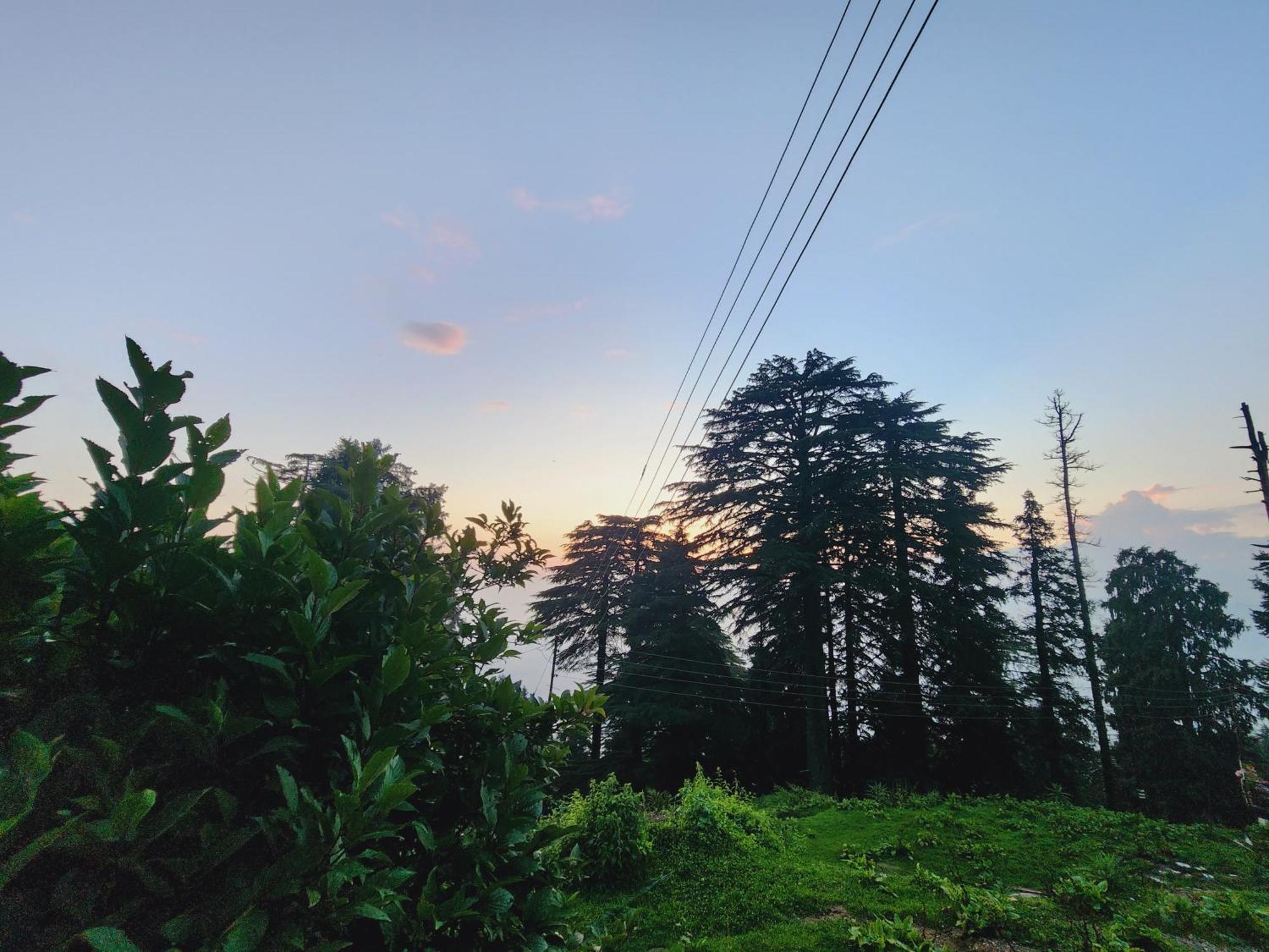 Forest Vibes Kalatop-Rooms And Restaurant ดัลเฮาซี ภายนอก รูปภาพ