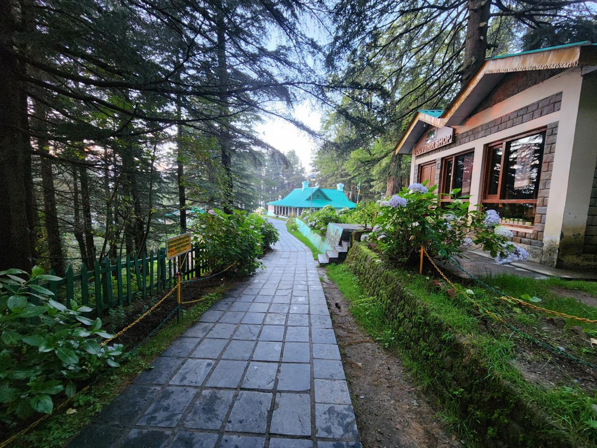 Forest Vibes Kalatop-Rooms And Restaurant ดัลเฮาซี ภายนอก รูปภาพ
