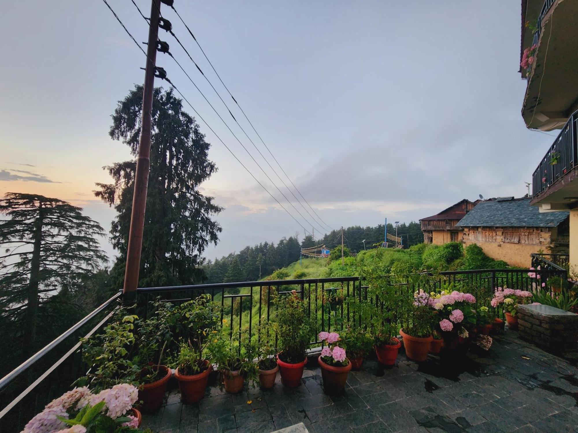 Forest Vibes Kalatop-Rooms And Restaurant ดัลเฮาซี ภายนอก รูปภาพ