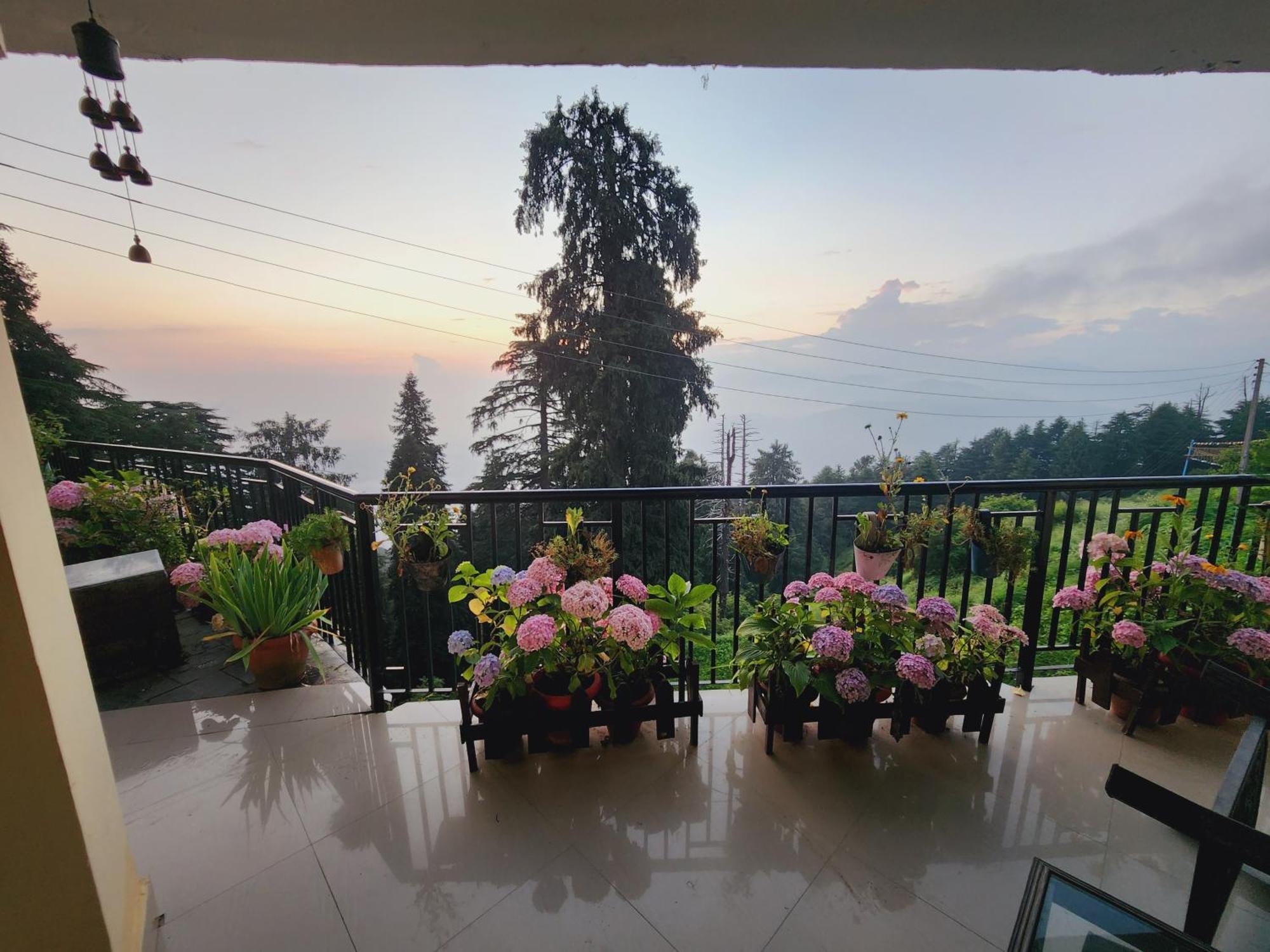Forest Vibes Kalatop-Rooms And Restaurant ดัลเฮาซี ภายนอก รูปภาพ